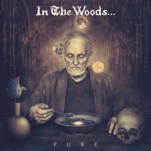 In_the_Woods_pure