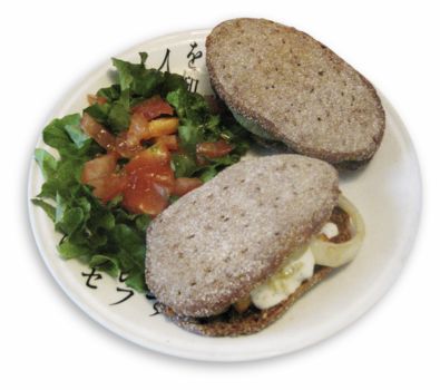 Post image for 8/2009: Reek of Veganism Tofu Burger
