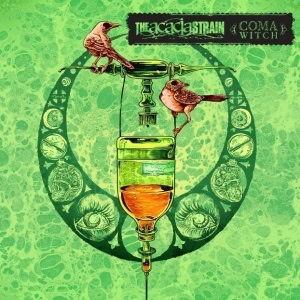 theacaciastrain_comawitch